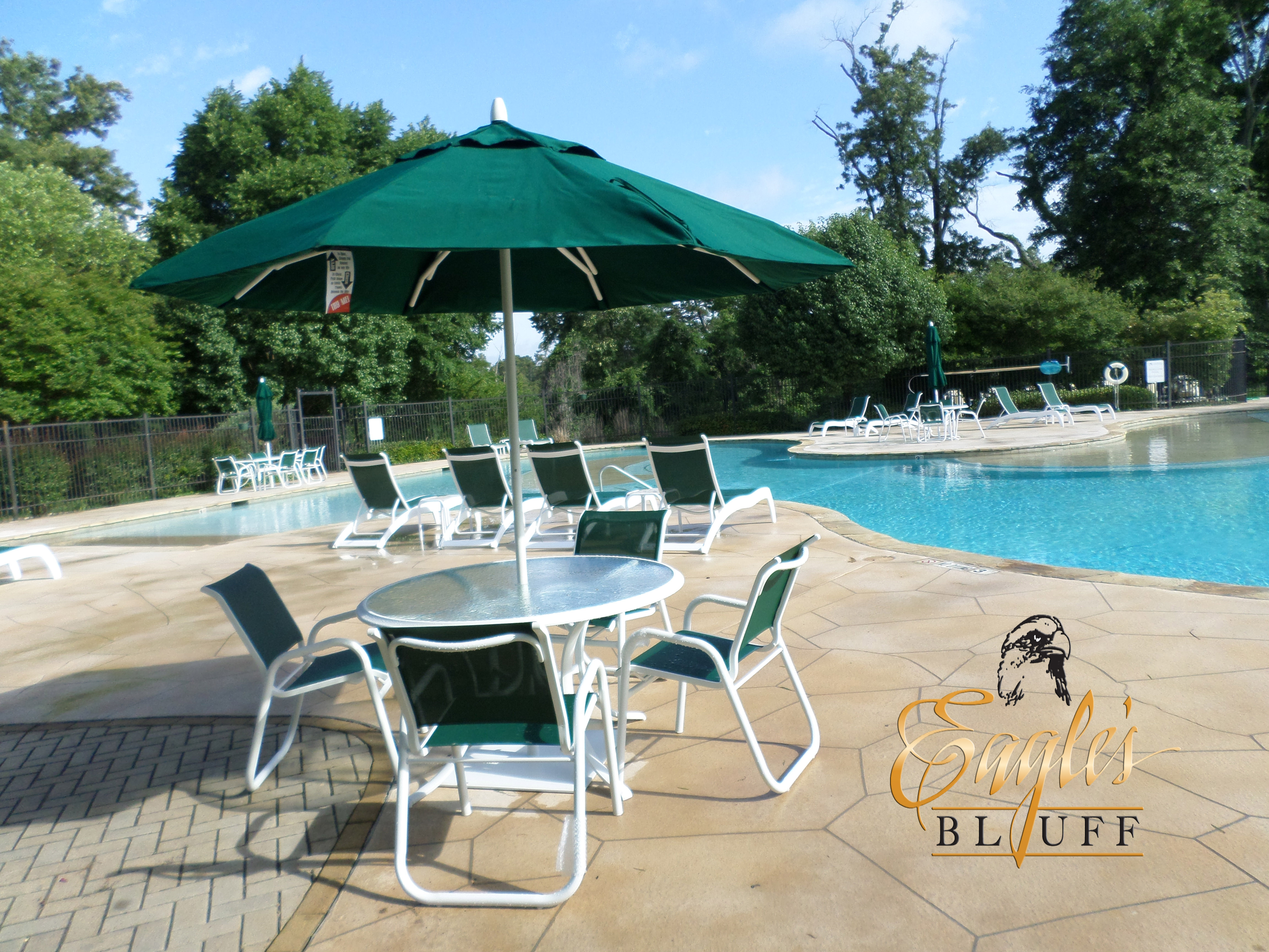 EAGLE'S BLUFF COMMUNITY ASSOCIATION